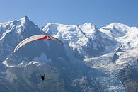 Gleitschirmfliegen Chamonix Mont Blanc von Menno Boermans Miniaturansicht