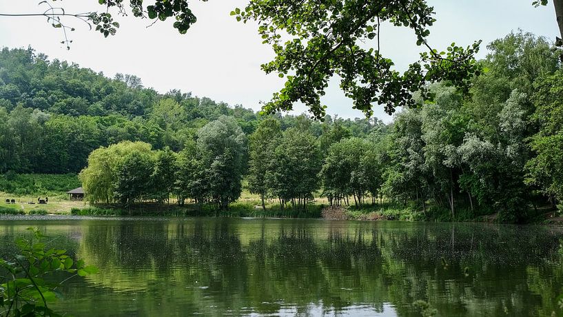 Lake near Sint Pietersberg, Maastricht, Netherlands by themovingcloudsphotography
