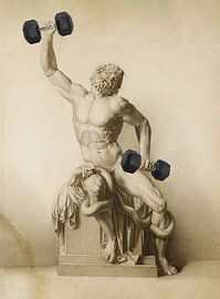 Schouder dag van Bekir CEYLAN