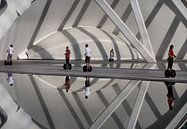 Segways Valencia Calatrava von Marcel van Balken Miniaturansicht