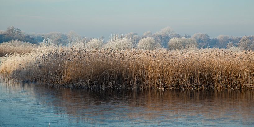Jäten im Winter von Annie Keizer
