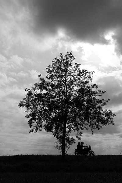 motorbike by walter haenen