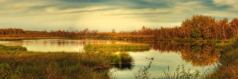Himmelmoor by Sabine Wagner