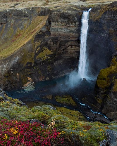 Wasserfall Háifoss im Herbst von Frits Hendriks