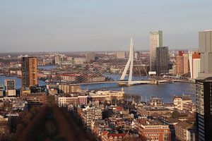 Erasmusbrug Rotterdam