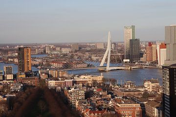 Erasmusbrug Rotterdam van Dick Schouten