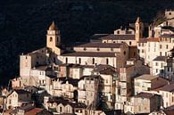 Saorge, dorpje aan de Côte d'Azur in Zuid-Frankrijk van Rosanne Langenberg thumbnail