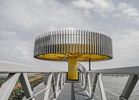 The Wadden Experience