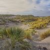 De duinen van Terschelling van Lisa Bouwman