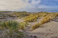 De duinen van Terschelling