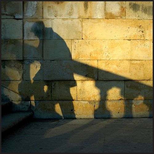 Shadows in the garden of the Nimes fountain. 