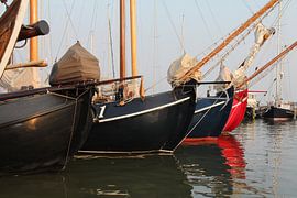 visage apaisant du port sur CBP fotografie