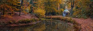 Herbst im Slochter Wald