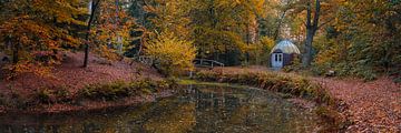 L'automne dans la forêt de Slochter