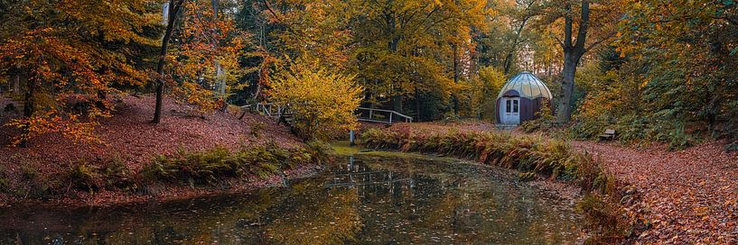 L'automne dans la forêt de Slochter par Henk Meijer Photography