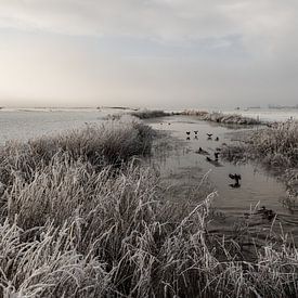 Paysage néerlandais sur Willy Sybesma