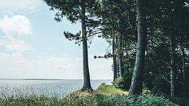 Steilküste von Heiko Westphalen