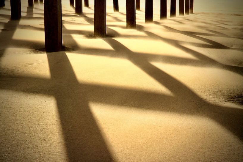 Seek out the sun by Arjen Kruisman