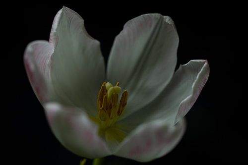 I am surrounded in darkness