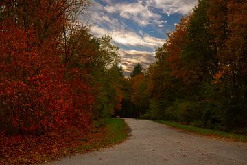Waldpfade mit Herbstfarben.