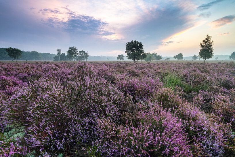 Wanderndes Gewitter von Joep de Groot