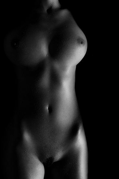 Corps d'une femme nue dans Low-Key par Art By Dominic