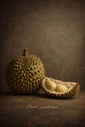 Doerian in Klassiek Stilleven