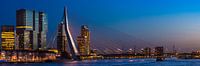 Panorama | Blue Hour bij de Erasmusbrug van Willem van den Berge thumbnail
