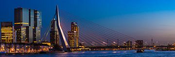 Panorama | Blaue Stunde Erasmusbrug, Rotterdam von Willem van den Berge