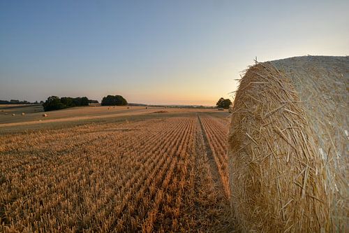 Strobalen in Groß Stresow, oogsttijd op Rügen