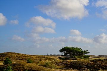 Paysage de dunes à l'île de Texel dans la région de la mer des Wadden sur Sjoerd van der Wal Photographie