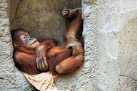 Chilling