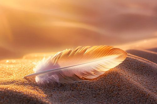 Zacht veertje op zand