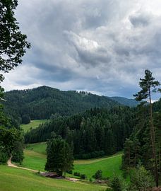Schwarzwald - Panoramablick über die Hügellandschaft von adventure-photos
