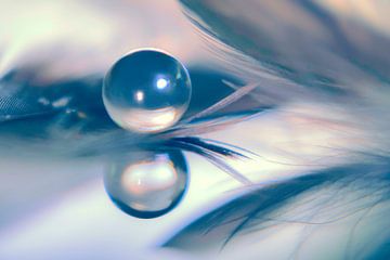 Reflection | drop and feathers. by Marianne Twijnstra