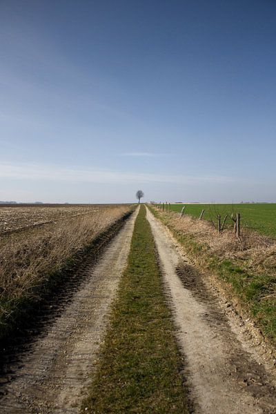 landweg by Arno Photo