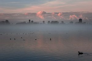 Nebel in Rotterdam
