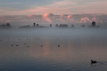 Mist in Rotterdam