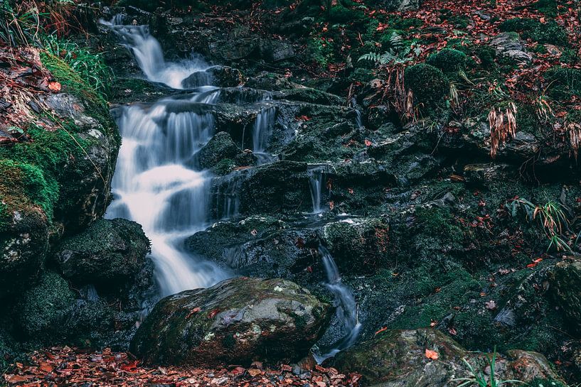 Wasserfall von Studio Artwa