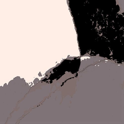 Organic 14 | Gedempt Neutraal & Zwart Abstract