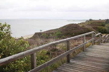 Dune boardwalk on the tidal flat side of Sylt