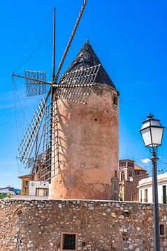 Zicht op historische windmolen in de stad Palma de Mallorca, Spanje van Alex Winter