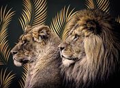 Portrait lions "KIng of the Golden Jungle" by Marjolein van Middelkoop thumbnail