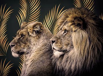 Portret leeuwen "King of the Golden Jungle"