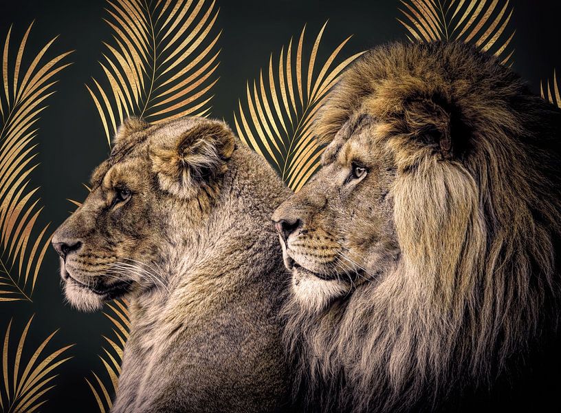 Portrait lions "KIng of the Golden Jungle" by Marjolein van Middelkoop