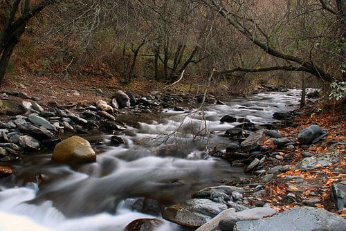 Rio Genil