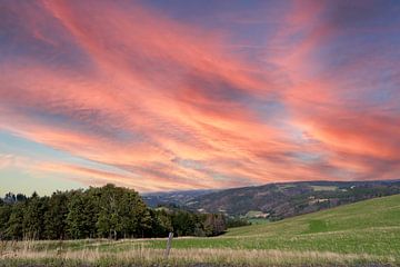 Zonsondergang in het Thüringer Woud, Oost-Duitsland van Animaflora PicsStock