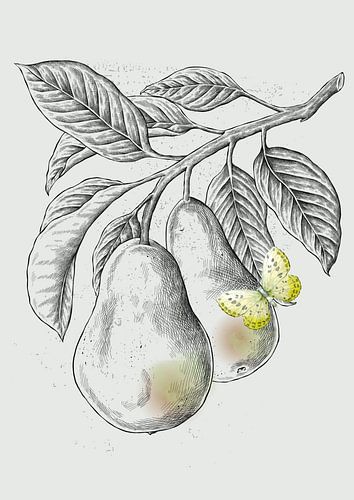 Pears on a branch van Fineline