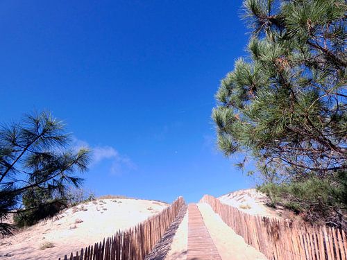 Un sentier en montée pittoresque et enchanteur sur Armand Baptiste