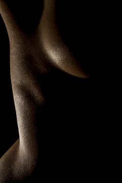 Skindeep - erotisch vrouwelijk naakt lichaam in lowkey van Qeimoy